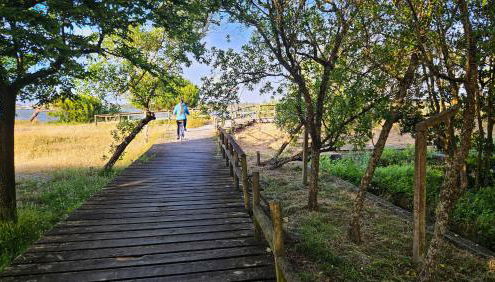 Sea Twins Villas - Foto 4