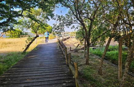 Sea Twins Villas - Foto 4