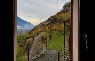 Ca' Barroni - Luxury Agriresort - Foto 34