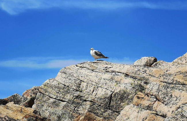 4 Person Holiday Home in Kungshamn - Foto 13