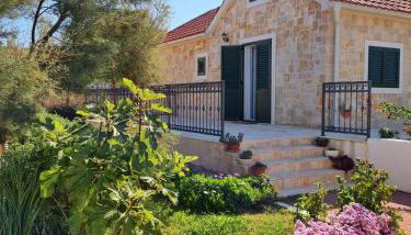 Beach House Calendula - Foto 2, Garden