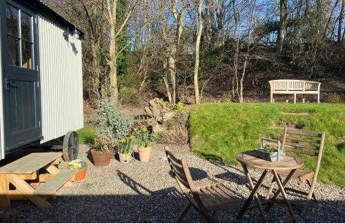 Peaceful Shepherd’s Hut in beautiful countryside. - Foto 4