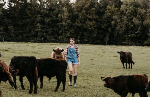 Ferienwohnung Weideblick Gänsberg - Foto 26