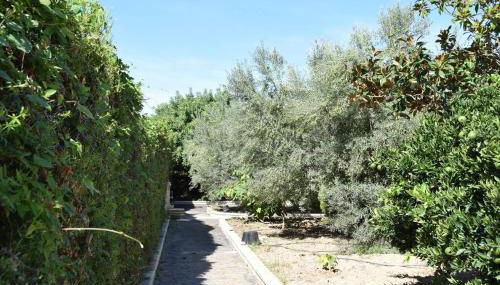 Casa Rural " La Bruja " - Foto 3, Garden