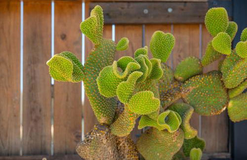 Takis House in Katavolos - Foto 30