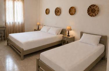 Tinos apartments Zalonis - Foto 6