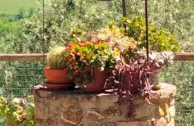 Agriturismo Grossola - Foto 58