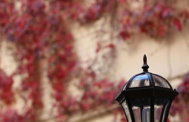 Austrian Yard at Furshtatskaya 45 - Foto 21