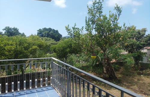 Villa Giardino degli oleandri Palinuro - Foto 51