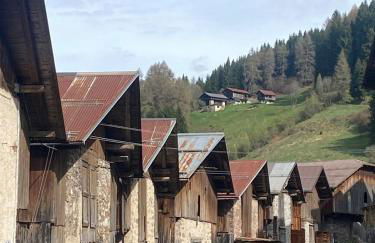 Cedä Meia - Foto 23