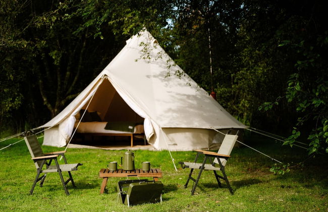 The Forest at Mount Congreve Gardens - Foto 24