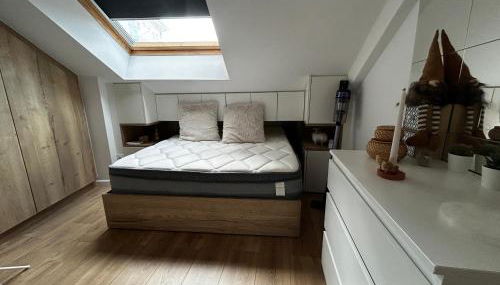 Appartement spacieux 2 chambres au centre d'Évian avec option parking - FR-1-498-115 - Photo 4