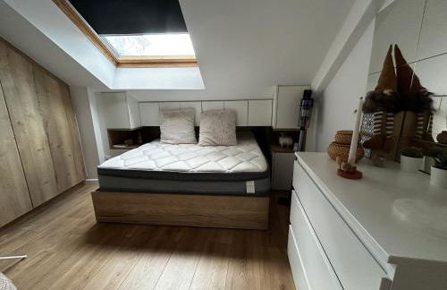 Appartement spacieux 2 chambres au centre d'Évian avec option parking - FR-1-498-115 - Foto 4