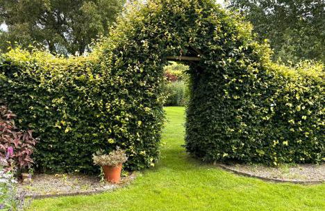 Oaken Fields, Waddington, Clitheroe - Foto 24