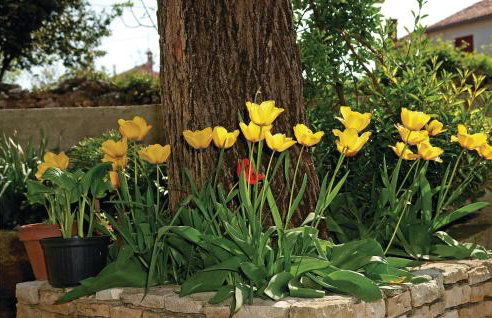 Holiday Home Hrboki Cr - Photo 7