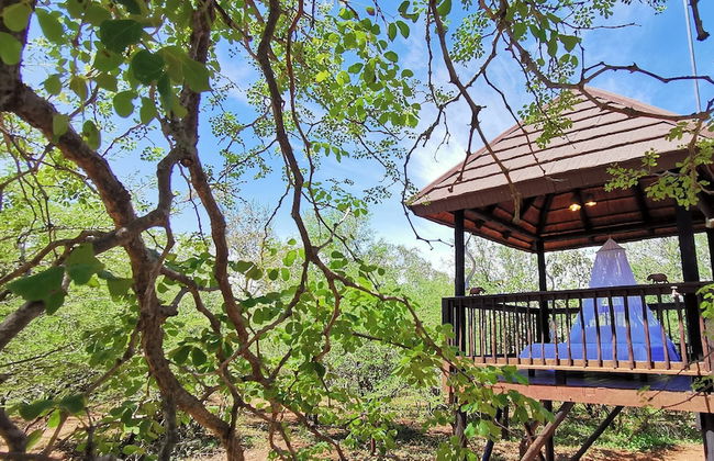 Kruger Kumba - Mugwenzi - Photo 67