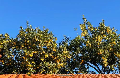 Casinha Revira Volta - Foto 36