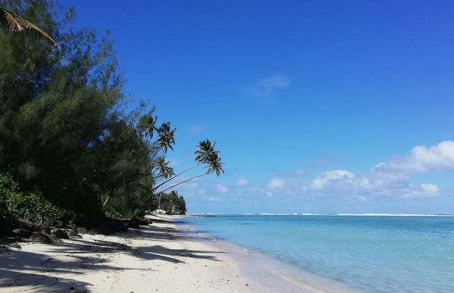 JJ's Retreat - Foto 20