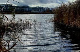 Studio by the River with Terrace, Basen, Sauna, Jacuzzi, Fitness - Foto 36