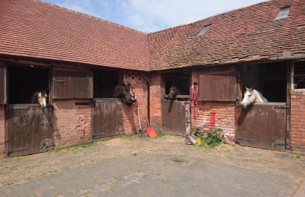 Church Farm Accommodation - Foto 36