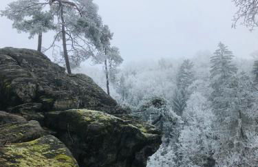 Apartment im Grünen mit Stil - Foto 23