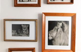 The Peak Mt Washington - Large 2bd Apt w A View - Foto 45