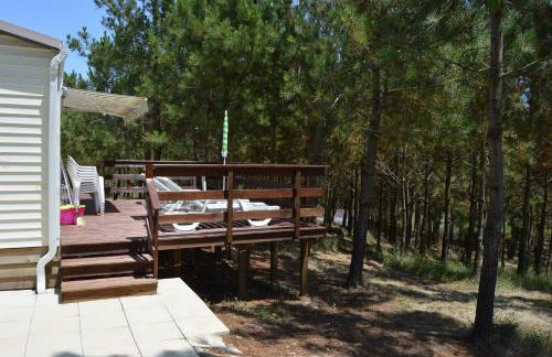 Quinta dos Mangues - Foto 17