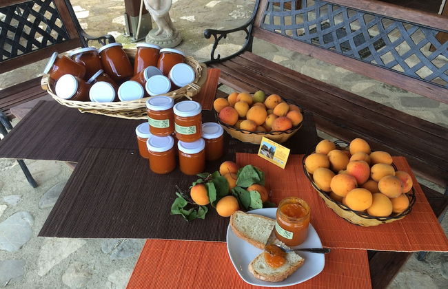 Sant'Apollinare - Foto 16