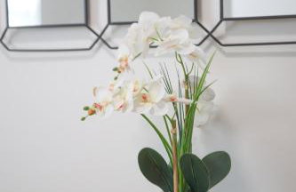 Cozy Near Boston with Outdoor Space - Foto 31