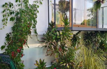 Quinta das Águias - Foto 47