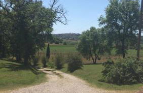 La Berchiera - Foto 5