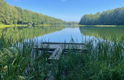 DoWielina - domki wśród natury - Foto 47