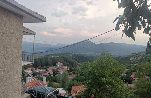 Ενοικιαζόμενη Κατοικία Γρηγόρης - Foto 6