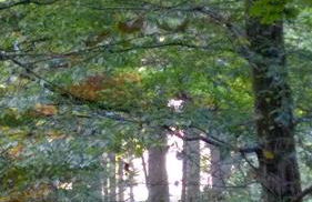 KaalemHof Angelsen - Foto 23