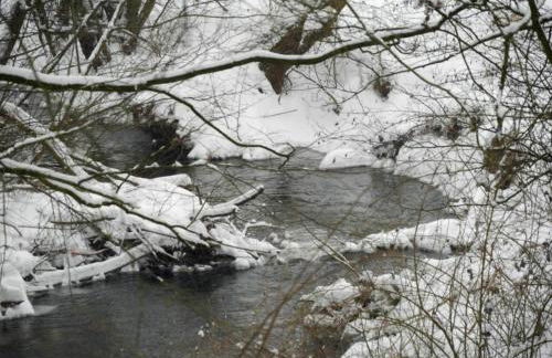 Wohnung im Teutoburger Wald Externsteine - Foto 74