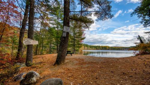 The Bear's Den - Foto 3