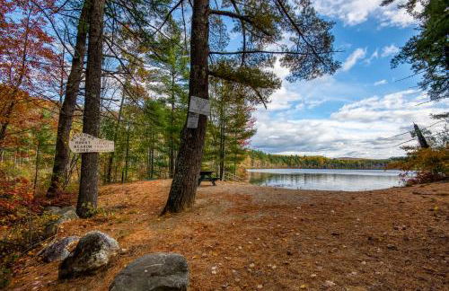 The Bear's Den - Foto 3