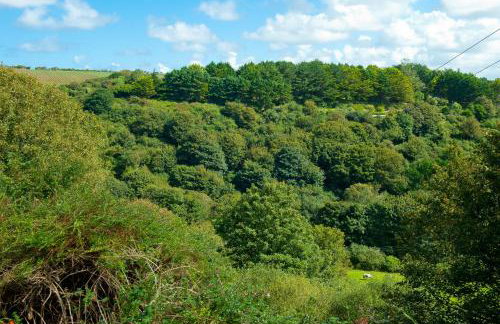 Hillside Studio - Photo 24