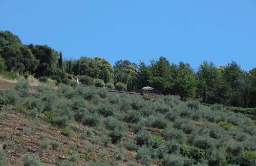 Quinta das Aveleiras - Foto 54