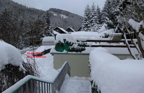 Birkenstübchen - Foto 44