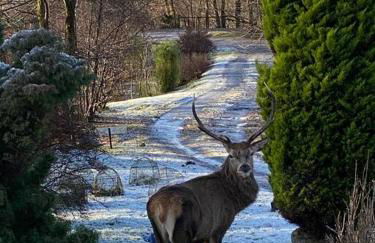 Tarmachan Cottage - West Highland Getaway - Photo 54