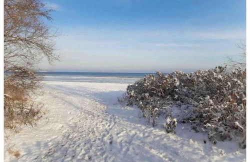 Villa Wencke - eure Auszeit am Meer in Wohlenberg - Foto 27