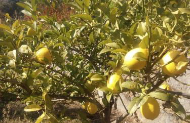 Quinta do Tempo Turismo Rural - Foto 20