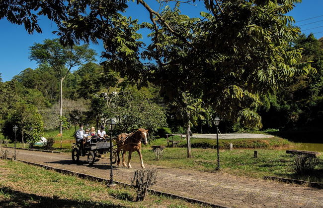 Hotel Fazenda Bavária - Foto 20