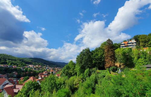 Apartments Villa-Ratskopf Wernigerode - Photo 103