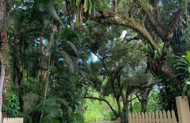 Casa PÉ NA AREIA Toque Toque Pequeno - Foto 31