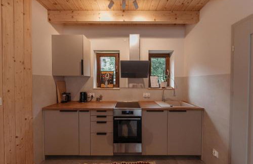 Chaty Jagi Domek 2 - Photo 13