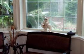 Resort Siranita - Foto 44