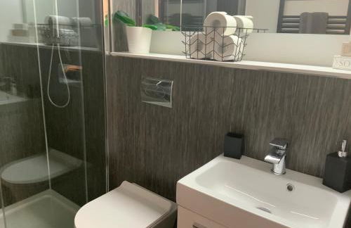 Deeside Snugs Apartments - Foto 66