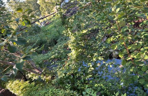 Ferienwohnung am Bach Biberstüble - Foto 11